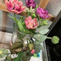 キッチンの画像