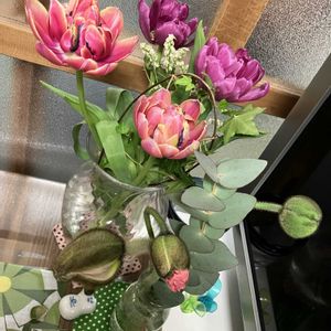 キッチンの画像