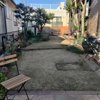 高麗芝,高麗芝,芝生,TM9,庭の画像