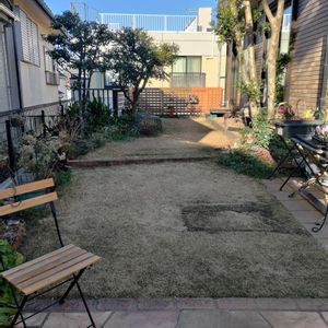 高麗芝,高麗芝,芝生,TM9,庭の画像