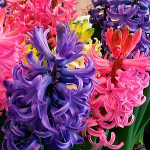 お出かけ先の画像