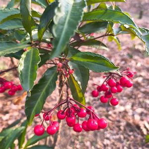 お出かけ先の画像