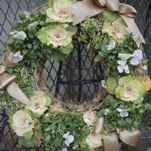 散歩,リース,iPhone撮影,冬散歩の画像