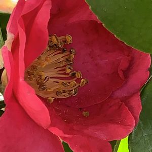 お出かけ先の画像