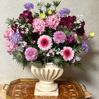 ガーベラ,スカビオサ,トルコキキョウ,アリウム コワニー,アリウム コワニーの画像