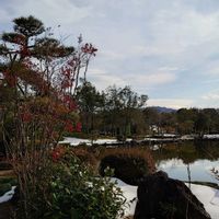 オリーブ,ナンテン,繋がりに感謝✨,水辺の水曜日,❄️冬にまけるな❄️の画像