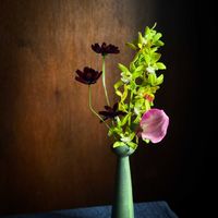 カラー,シンビジウム,チョコレートコスモス,花器,花のある暮らしの画像