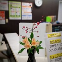 アセビ,アルストロメリア,アルストロメリア,ウメ,カスミソウの画像