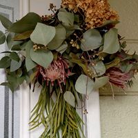 アカシア,クロッカス,クロッカス,ユーカリ,アナベルの画像