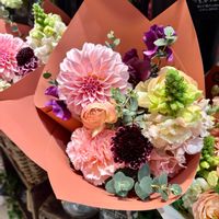 サクラ,ダリア,ラナンキュラス,花散歩,青空の画像