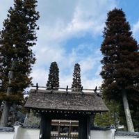 マンリョウ,夏みかん,南天(なんてん),あきらめないで‼️,おでかけ先の画像