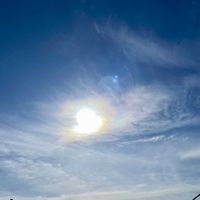 ウメ,オオイヌノフグリ,ホトケノザ,キュンキュン乙女倶楽部,青い花マニアの画像