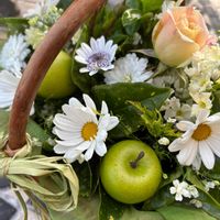 アオキ,アオキ,マーガレット,マーガレット,リナリアの画像