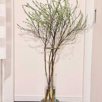 ユキヤナギ,雪柳,切り花,生花,枝ものの画像