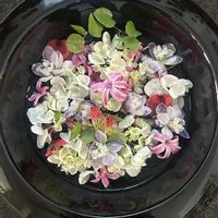 アジサイ,アルストロメリア,ヒヤシンス,ワイヤープランツ,デルフィニュームの画像