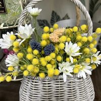 モンステラ,ガジュマル,コーヒーの木,免疫力UP,お花のある暮らし♡の画像