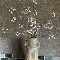 ナンキンハゼの画像