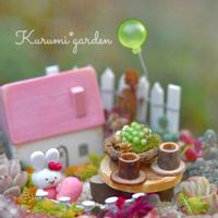 多肉,多肉植物 寄せ植え,箱庭,箱庭 多肉植物,うさみみちゃんの画像