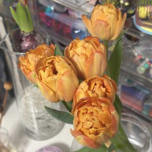 切り花,お花屋さん,花のある暮らし,ガラスの花瓶,町のお花屋さんの画像