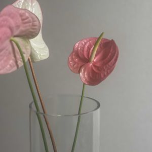 お花屋さん,花のある暮らし,ガラスの花瓶,町のお花屋さん,君も花が好きなのかの画像