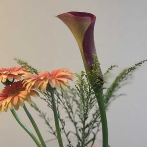 切り花,お花屋さん,花のある暮らし,ガラスの花瓶,町のお花屋さんの画像