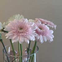 お花屋さん,花のある暮らし,ガラスの花瓶,町のお花屋さん,君も花が好きなのかの画像