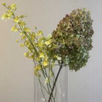 オンシジウム,切り花,お花屋さん,花のある暮らし,ガラスの花瓶の画像