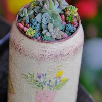 ベランダガーデニング,自作リメ缶,癒し…♡,可愛い❤,おうち園芸の画像