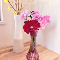 ガーベラ,スイートピー,レンギョウ,ルスカス,スプレーマムの画像