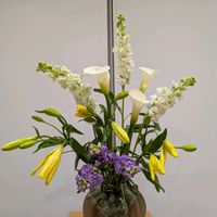 カラー,カラー,ストック,透かし百合の画像