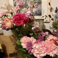 カーネーション,ジンチョウゲ,ヤドリギ,ヤドリギ,キュンキュン乙女倶楽部の画像