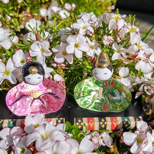 オキザリス・バーシカラー,オキザリス・バーシカラー,100均小物,ひな祭り,おひなさまの画像