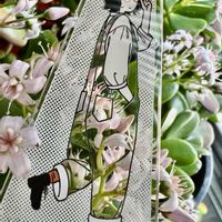 葉牡丹,金のなる木,大人の着せ替え人形,注意喚起,お散歩ちゃんキーホルダーの画像