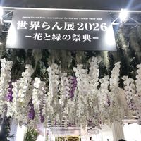 ウスネオイデス,世界らん展2026,エアープランツ/チランジア,頑張ってます,おうち園芸の画像