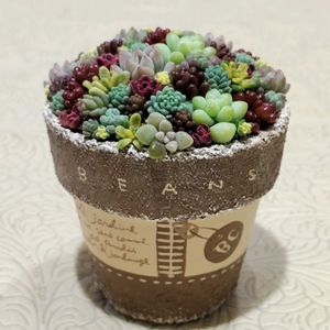 多肉植物,多肉大好き,多肉中毒,多肉多肉多肉,植物のある暮らしの画像