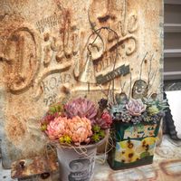 寄せ植え,多肉植物,アレンジ,多肉大好き,ガーデンピックの画像