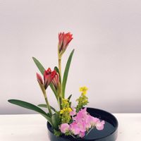 アマリリス,スイートピー,菜の花,小原流,黄色の画像