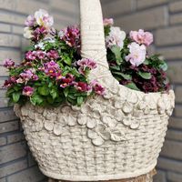 クローバ ティントロゼ,伝説の八重パンジー ’ ファビュラス ',ネメシア コットンカシス,ネメシア・コットンピーチ,꒰ღ˘◡˘ற꒱かわゅ~の画像