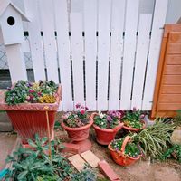 寄せ植え,DIY,ハンドメイド,ガーデニング,ウッドフェンスの画像