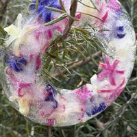 ヒヤシンス,癒し,キレイ☆,いい香り♡,いつも心に太陽をの画像