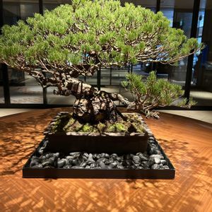 花が好き,無農薬❤家庭菜園,野菜が好きの画像