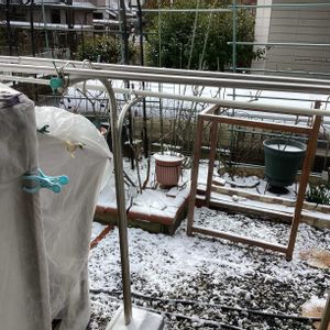 ガーデニング,ウッドデッキ,寄せ植え大好き,多肉箱,元気もんエケちゃんの画像