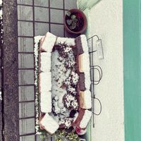  ブロンズ姫の画像