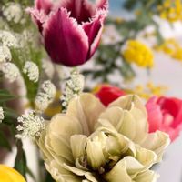 チューリップ,フラワーアレンジ,チューリップ サンマーティン,花のある暮らし,がんばる♡の画像