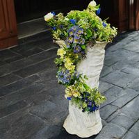 プリムラ,PR,三ツ星品質モニター,ポトスモニターの画像