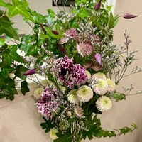 クレマチス,クレマチス,スカビオサ,アストランティア,スターチス　ブルーウェーブの画像