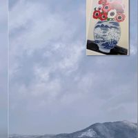 アネモネ,チューリップ,プリムラ,ラナンキュラス,レースフラワーの画像