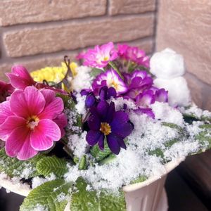 玄関アプローチの画像