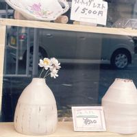 花かんざし,ドライフラワー,冬の楽しみ,陶芸,ベランダの画像