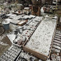 ガーデニング,雪❄の画像